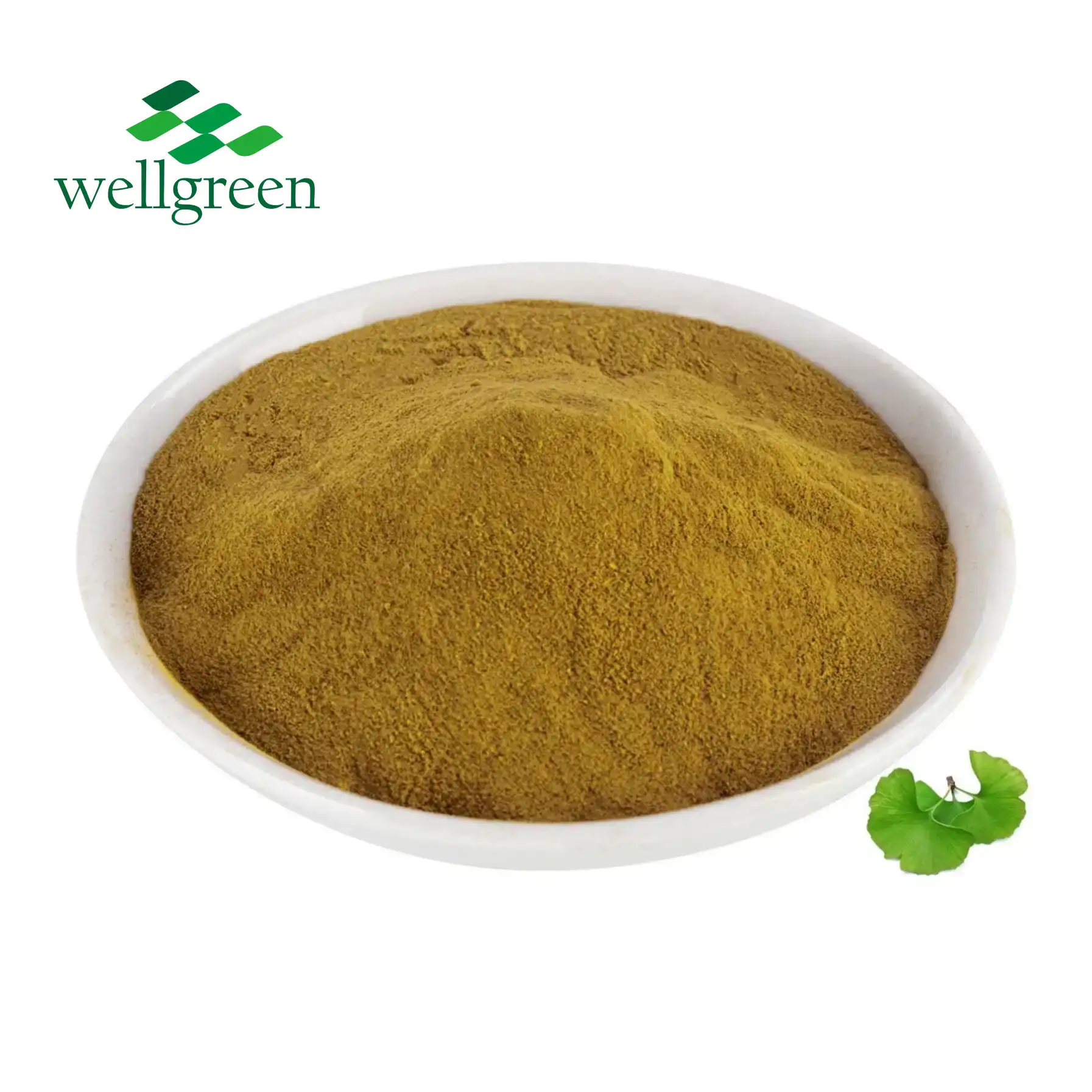 Ginkgo Biloba Leaf Extract.webp